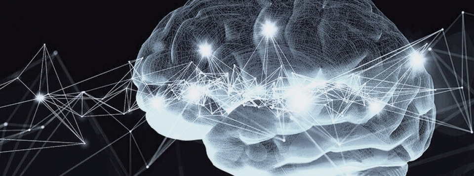 Webinar sobre Avaliação neuropsicológica forense: prática e contextos no Instituto CRIAP.