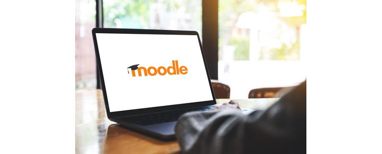 Curso em Gestão de Plataforma Moodle no Instituto CRIAP.