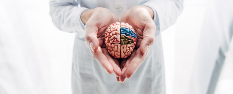 Especialização Avançada Curso Neuropsicologia Clínica no Instituto CRIAP