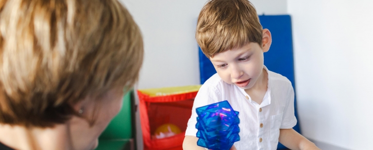 Curso Prático de Perturbações do Espetro do Autismo 