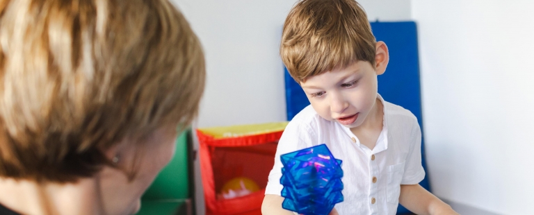 Curso Prático de Perturbações do Espetro do Autismo no Instituto CRIAP