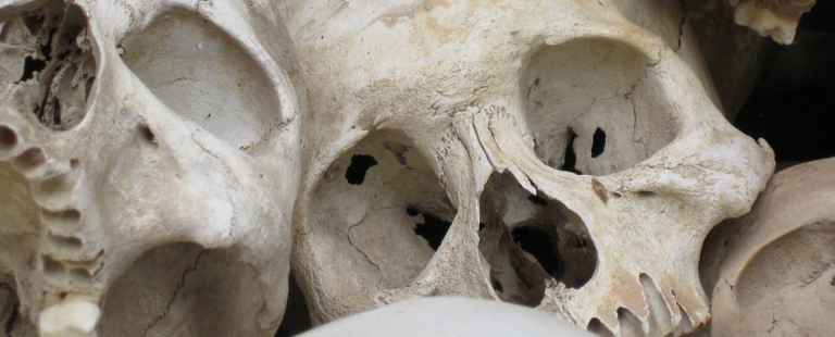 Workshop de Antropologia Forense