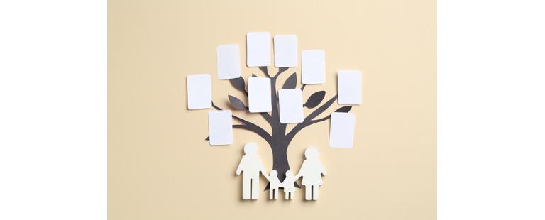 descobrir a origem dos nomes e sobrenomes portugueses através da genealogia