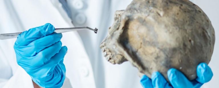 workshop em medicina dentária forense