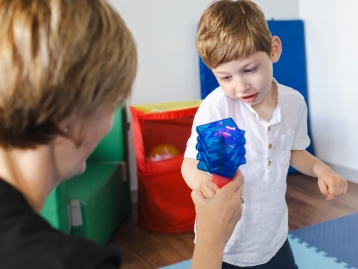 Curso Prático de Perturbações do Espetro do Autismo