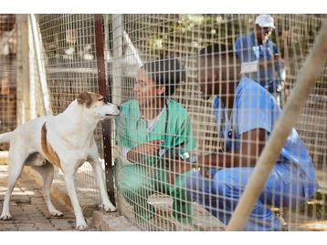 Especialização Avançada em Gestão, Bem-Estar Animal e Intervenção Social 