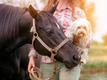 Especialização Avançada em Terapia Assistida por Animais