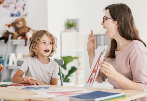 A Perturbação do Desenvolvimento da Linguagem (PDL), tem implicações significativas no sucesso escolar, interação social e no futuro profissional dos indivíduos.