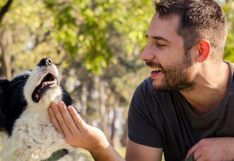 Talk em Intervenção Assistida por Animais: Da Conceção Prática ao Estatuto Jurídico no Instituto CRIAP