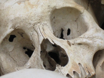 Workshop em Antropologia Forense