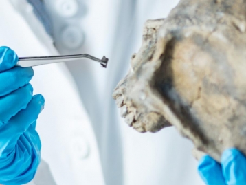 Workshop em Medicina Dentária Forense